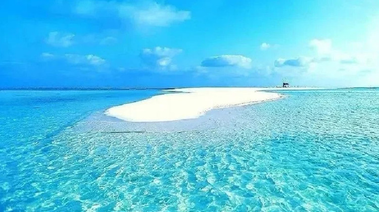 韦依美途