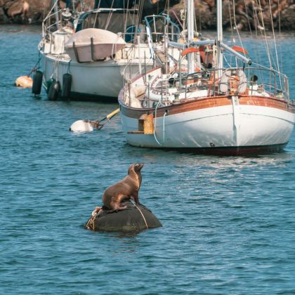 美国旧金山+加州1号公路+洛杉矶7日6晚私家团