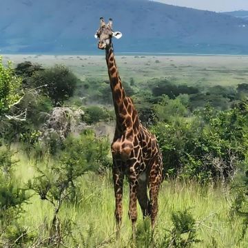 卢旺达9日8晚私家团