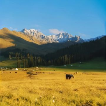 新疆伊犁+赛里木湖+那拉提草原4日3晚自由行