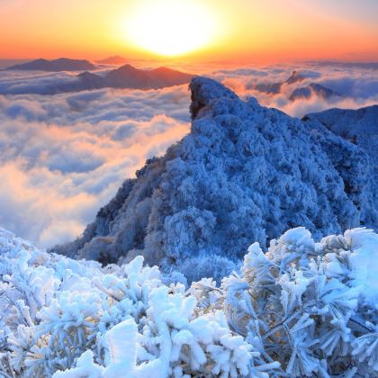 光雾山旅游景区+米仓山国家森林公园+阆中古城3日2晚私家团