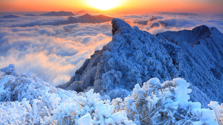 成都6天5晚家庭定制游，人均3500元包车玩转熊猫都江堰峨眉山？