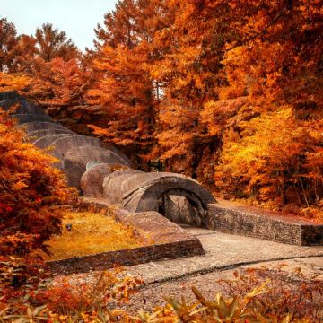 日本东京+轻井泽町5日4晚私家团