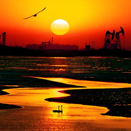 东营+黄河口生态旅游区+黄河入海口+孙子文化园+东营市历史博物馆-孙武祠+明月湖国家城市湿地公园+揽翠湖度假区5日4晚私家团