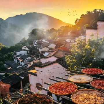 杭州+绍兴+金华+婺源+武夷山+丽水9日8晚私家团