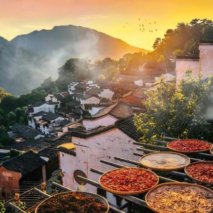 缙云仙都景区+云和梯田景区+武夷山国家公园+婺源篁岭景区+诸葛八卦村景区+金华双龙风景旅游区+鲁迅故里+西湖风景名胜区9日8晚私家团