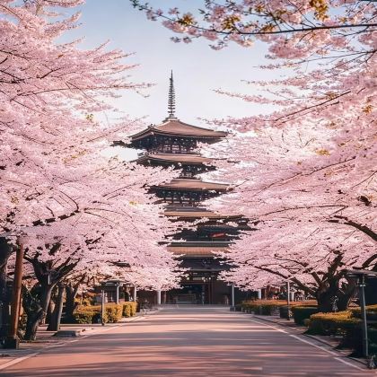 日本东京6日5晚私家团