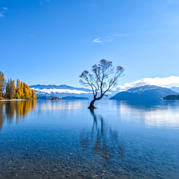 澳大利亚+新西兰南岛+北岛12日10晚跟团游