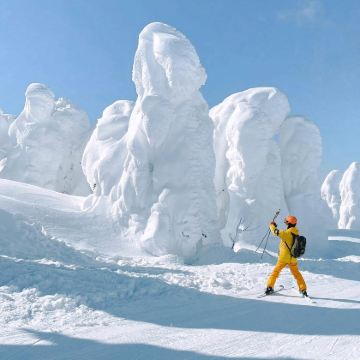 日本日光市+宇都宫市+藏王町+山形市10日9晚私家团