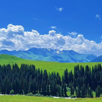 新疆乌鲁木齐+北疆+伊犁9日8晚私家团