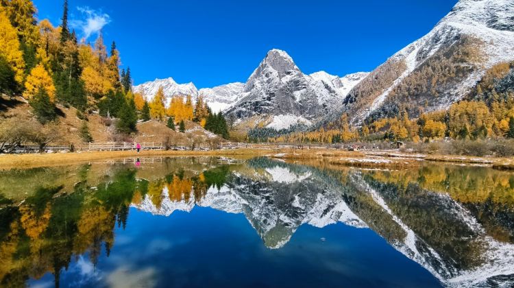 4D3N · Private Tours · .Jiuzhaigou + Huanglong+ Panda Valley + Dujiangyan + Mt. Siguniang - Summer Escape - All Entry Tickets, One Trip Covers Nature, Pandas, Culture & Snow Peaks