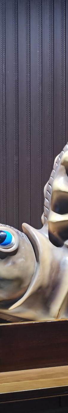 贝壳王国-秦皇岛