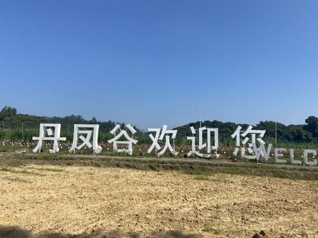 丹凤谷旅行图片 3