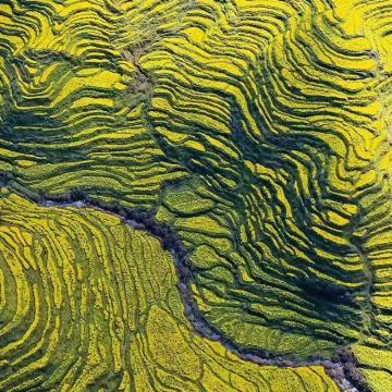 衢州江郎山风景名胜区+廿八都古镇+上饶望仙谷+婺源4日3晚私家团