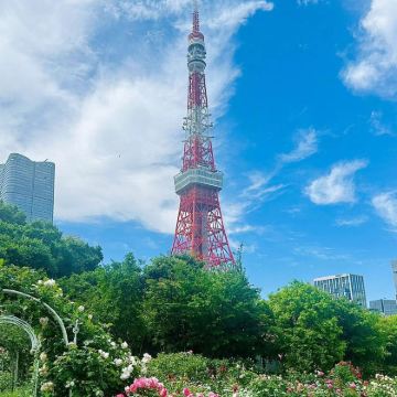 日本东京+箱根+京都+大阪10日9晚私家团