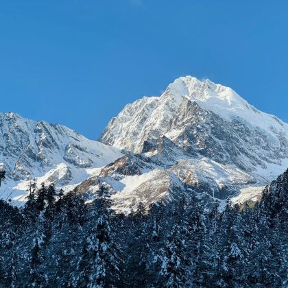 海螺沟+牛背山+成都5日4晚私家团