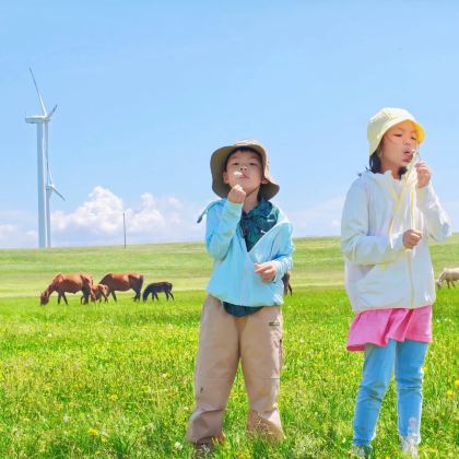 北戴河+承德+坝上+乌兰布统草原5日4晚拼小团