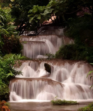 4D3N • Chiang Mai private holiday: Doi Suthep, Sticky Waterfalls, Elephant Encounters & Night Safari