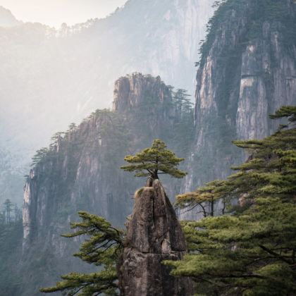 庐山+婺源+景德镇+黄山+井冈山8日7晚跟团游