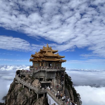 河南洛阳+老君山景区+龙门石窟+白马寺+洛阳博物馆2日1晚跟团游