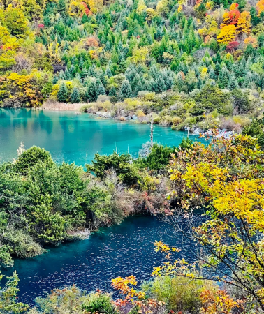 11 วัน 10 คืน • เฉิงตู + จิ่วจ้ายโกว + เอ๋อเหม่ยซาน + ไห่หลัวโกวและภูเขากงกา ประเทศจีน