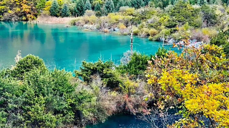 9-Day Sichuan classic panorama: Chengdu, Chongqing, Jiuzhaigou, Huanglong National Scenic Area | Private Tours·  