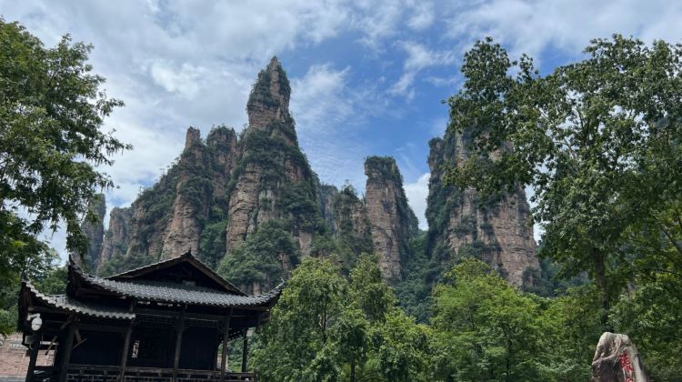 12D11N · Group Tours · Discover Mystical China: Kung Fu Pandas & Scenic Wonders·Discover China's legendary landscapes on this 12-day journey. From sacred temples to cinematic views, this trip blends soul, spice, and scenery into one unforgettable adventure.