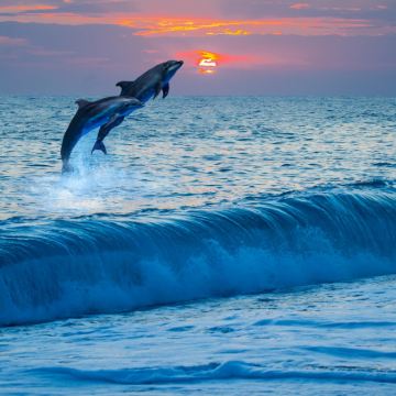 澳大利亚悉尼+墨尔本+布里斯班17日16晚拼小团