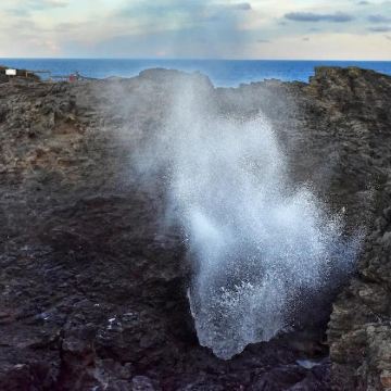 澳大利亚悉尼+卧龙岗+基亚玛+凯阿马喷水孔6日5晚私家团