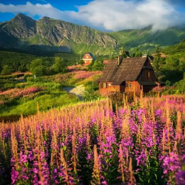 波兰华沙+克拉科夫10日9晚私家团