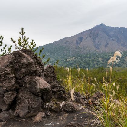 日本九州+熊本市+鹿儿岛市+宫崎市+福冈7日6晚拼小团