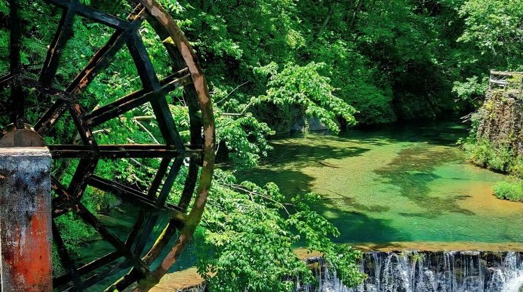 3D2N · Group Tours · Shennongjia Scenic Area: Shennongding - Dajiuhu Lake - Guanmen Mountain - Shennong Altar 