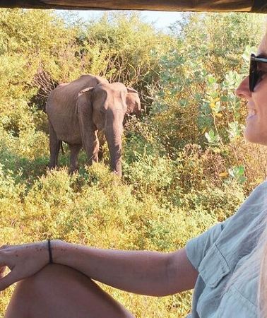 7D6N • 7 Days Tour in Sri Lanka Hotels with Breakfast and Luxury Car