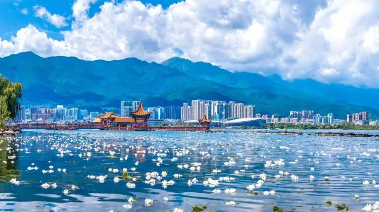 Yunnan + Kunming + Dali City + Lijiang + Lugu Lake Scenic Area
