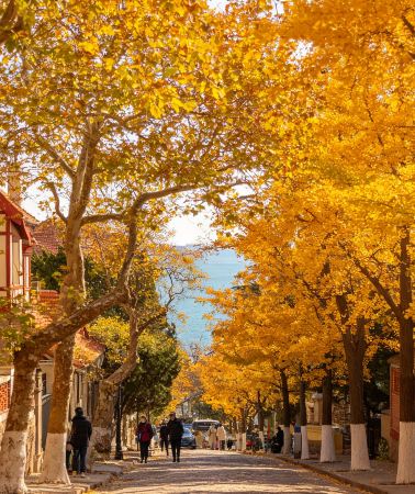 5D4N • Shandong Peninsula tour: Qingdao, Yantai & Weihai, 24-hour airport pickup and drop-off service, and no compulsory shopping