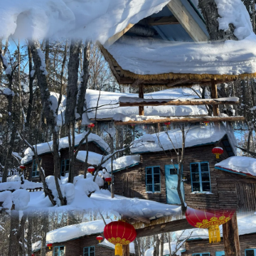 哈尔滨+亚布力滑雪旅游度假区+雪乡5日跟团游