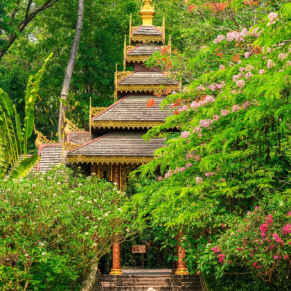 西双版纳+普洱5日拼小团