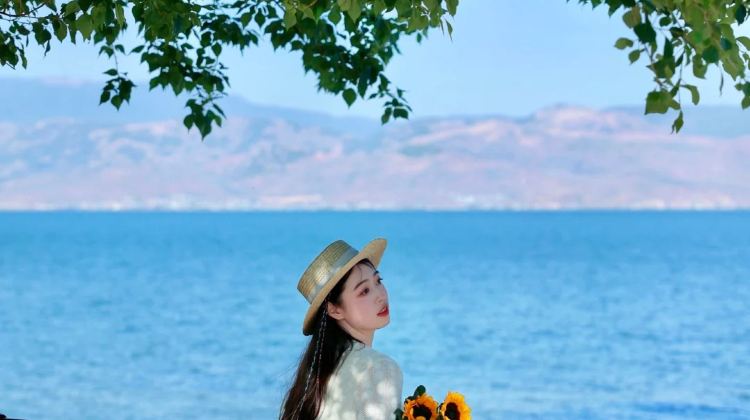 7-Day Yunnan Private Tour from Kunming· Dali, Lijiang, Shangri-La, Dianchi Lake, Tiger Leaping Gorge, Yulong Snow Mountain | Stone Forest Scenic Area