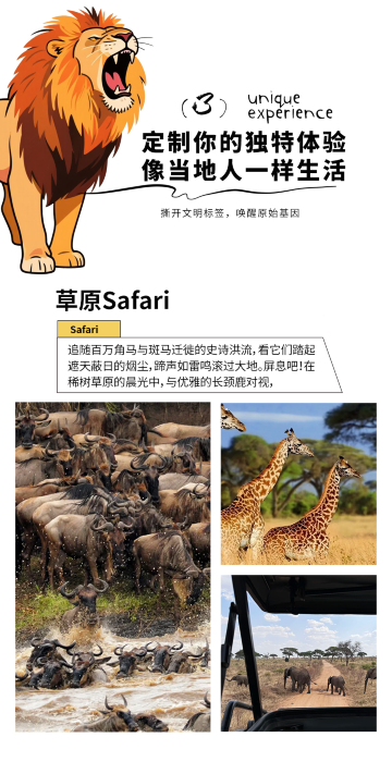 阿鲁沙