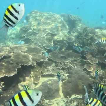 马来西亚+丹绒亚路海滩11日10晚私家团