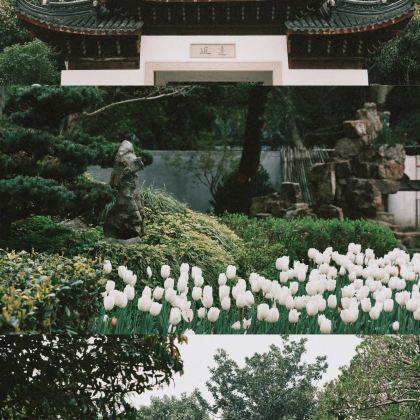 南通狼山风景名胜区+啬园+南通市濠河景区+寺街+苏州5日4晚私家团