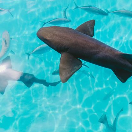 斐济6日4晚私家团