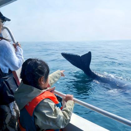 亲近自然·广西北海5天珊瑚奇遇记『亲子营』升级1晚银滩5钻亲子酒店+5正餐丨主题研学课丨出海寻鲸+亲子双路+火山地质科考+红树林赶海+砍香蕉+海洋研究所丨全程摄影记录美好时刻