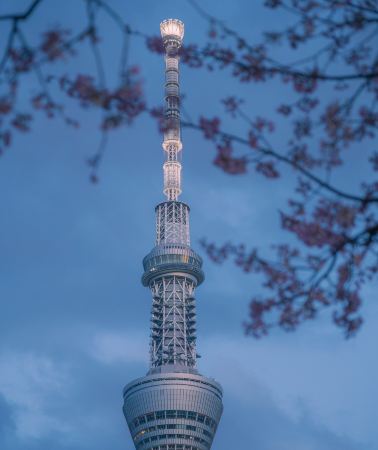 5D4N • Japan Tokyo + Yokohama + Kawasaki City + Tokyo Disneyland