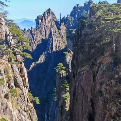 黄山+西递+宏村景区+婺源篁岭景区4日3晚私家团
