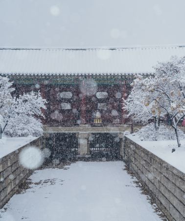 6D5N • South Korea + Busan + Gyeongju + Jincheon-gun + Seoul: Panoramic in-depth tour lets you experience coastlines, ancient capitals, mountains, and forests all in one journey