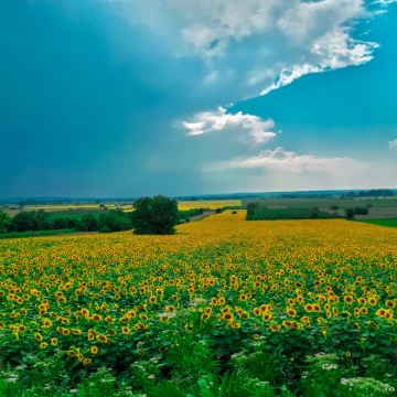 塞尔维亚7日6晚自由行