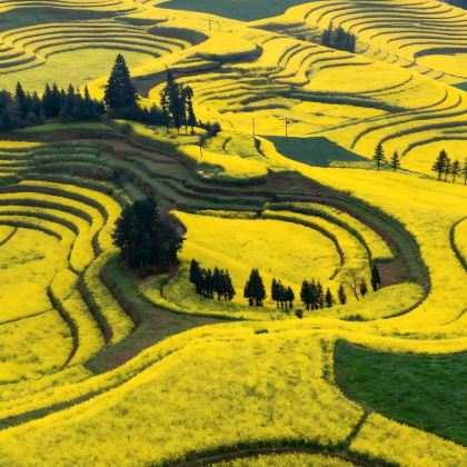 昆明+罗平+弥勒4日3晚拼小团