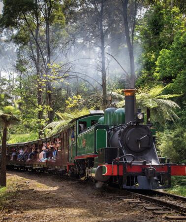 5D4N • Melbourne + Puffing Billy Railway + Phillip Island + Great Ocean Road | 13-Person Mercedes-Benz Small Group Tour