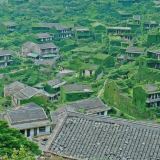 嵊泗+枸杞岛+嵊山岛3日2晚私家团